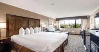 Best Western Plus Orchid Hotel  Suites - parking