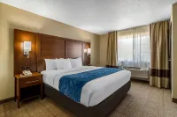 Comfort Suites - Pool