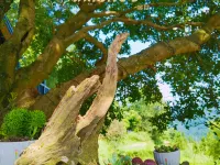Yard Homestay Hotels in Xupu