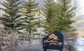 Chateaux DuMont 4 Bedroom Homes by Summit County Mountain Retreats