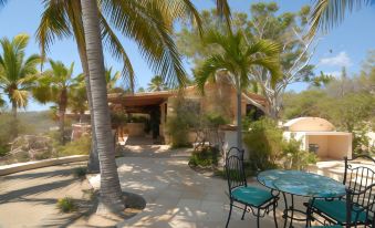 a patio area with palm trees , a dining table , and chairs , surrounded by a stone wall and a fence at Villa del Faro