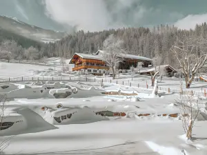 Aster Boutique Hotel & Chalets
