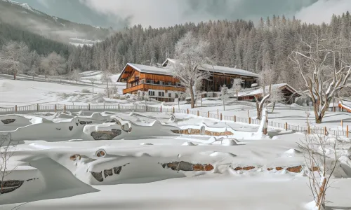 Aster Boutique Hotel & Chalets