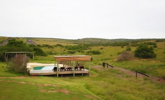a wooden gazebo with a pool in the middle , surrounded by a grassy field and trees at Bukela Game Lodge - Amakhala Game Reserve