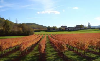 Terres de France - Domaine de Claire Rive