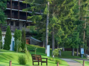 Ana Hotels Bradul Poiana Brasov