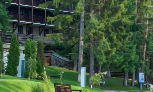 Ana Hotels Bradul Poiana Brasov
