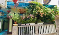 Nhà dân The View Hội An Các khách sạn ở Hội An