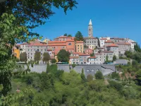 Villa Tomicich Hotels in 
