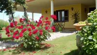 Agriturismo le Quattro Stagioni - Pools