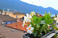 Hotel Garni Golf - Mountain view