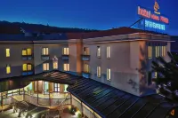 Hotel Delle Rose - bar
