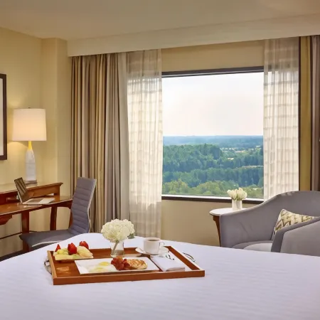 Sonesta Hotel Gwinnett Place Atlanta