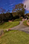Rostrevor Mountain Lodge - Glamping Pods - Revive Sauna & Hot Tubs Hotels in 