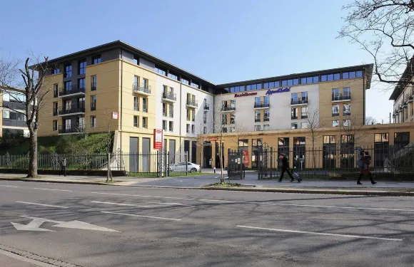 雷斯迪家梅斯洛萊娜