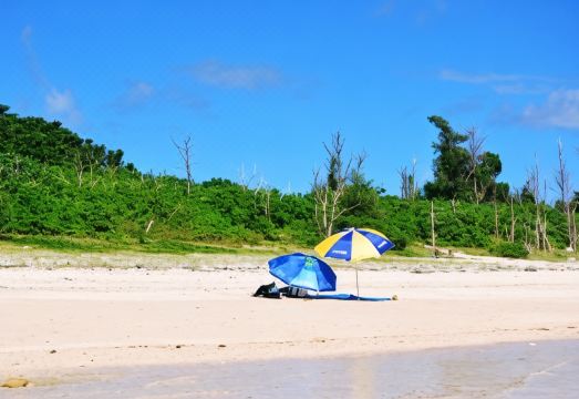 2. 코럴 리조트 이..