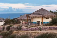 Palapas Ventana