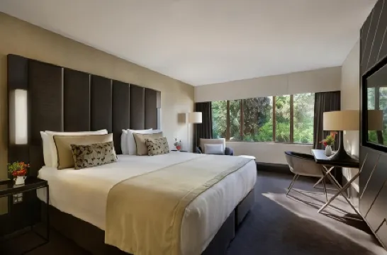 惠靈頓瑞享飯店