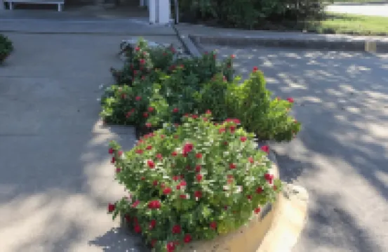 โลนสตาร์ อินน์แอนด์สวีทส์