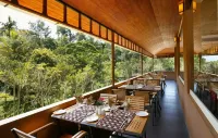 Spice Grove - bar