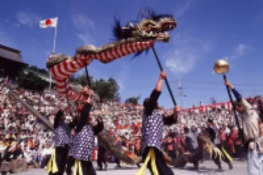 Oyadokinokuniya tamazonomachi