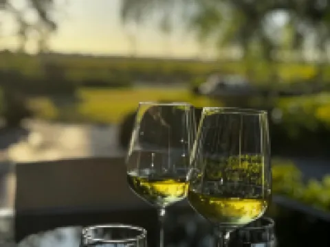 Barossa House Hotels in Tanunda