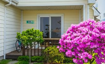 Ongjin Hue and View Pension