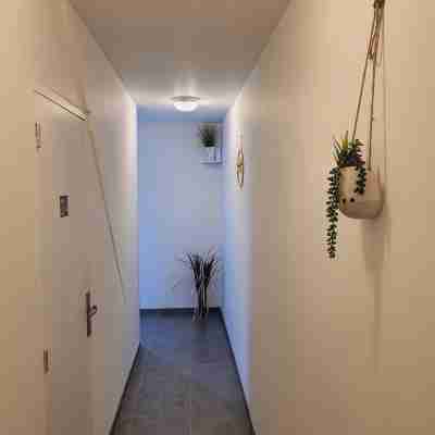 Appartement tout confort 60 m² Others