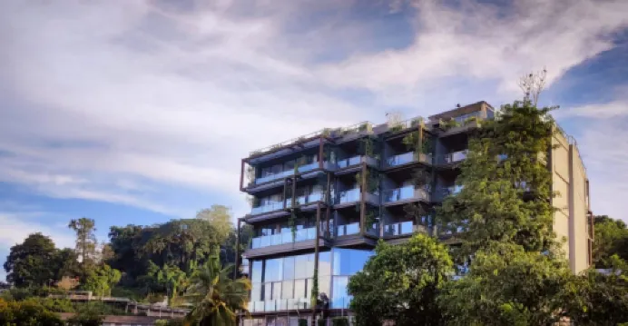 ต้นไม้ Kandy