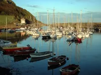 Harepath Holidays Limited Hotels in Colyton