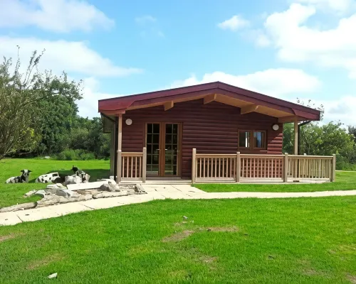 Wall Eden Farm - Luxury Log Cabins and Glamping Hotels in Highbridge