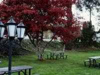 Mountain View Hope Motel Hotels in Hope