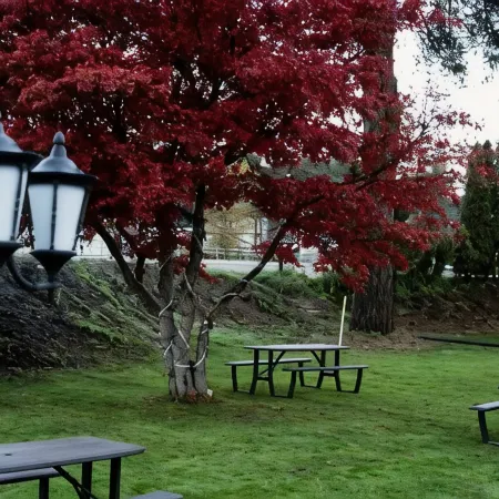 Mountain View Hope Motel