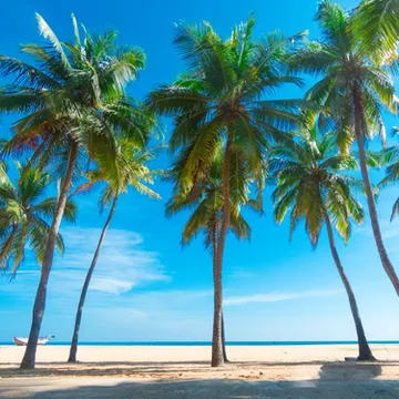 รูปภาพของPrivate Swim Up Pool Apartment on Jomtien Beach Pattaya