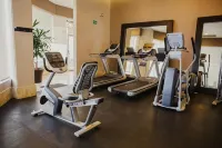 Hilton Garden Inn Boca del Rio, Veracruz - Gym