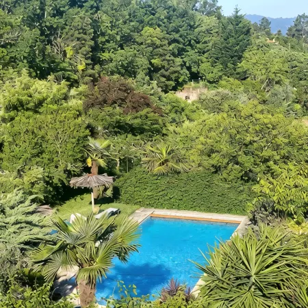 QUINTA DE RIBAS - Les Bougainvilliers charming house for families or groups Отели в г. Амаранте