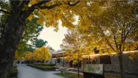 Floral Hotel·Moye Moonlight Hot Spring Hotel - Romantic