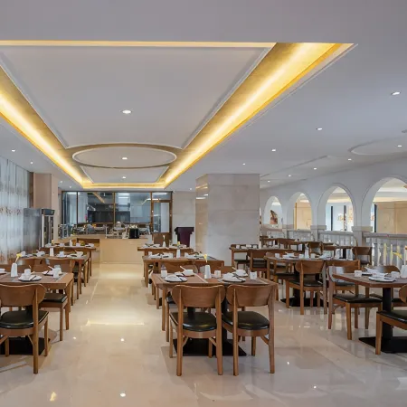 Vienna International Hotel (Hechi Tonggu)