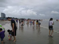 Beihai Four Seasons Harbor Homestay - Inns
