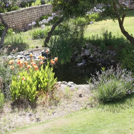 Apartment With Shared Pool, landscaped gardens, Wi-fi