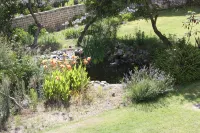 Apartment With Shared Pool, landscaped gardens, Wi-fi