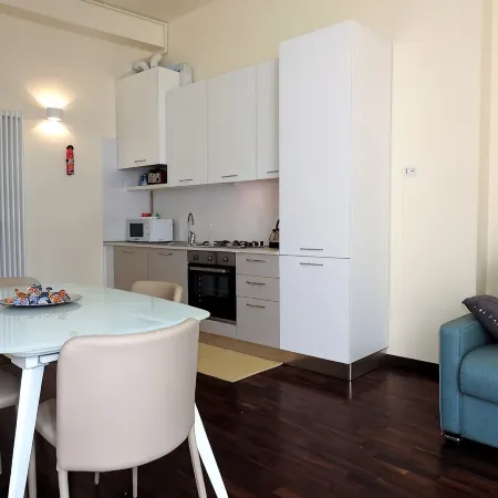 Completely renovated apartment in the center