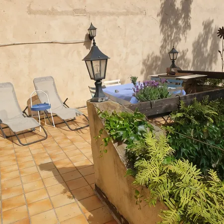 On vacation with the dog? House with enclosed garden in the center of Roquebrun.
