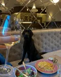 啟示山飯店餐廳維爾紐斯 - 酒吧
