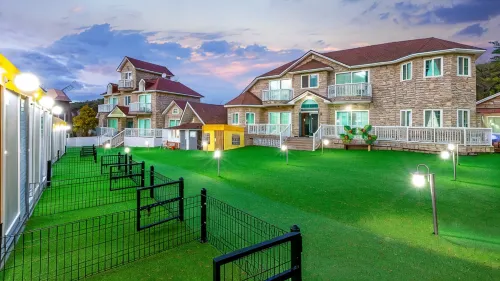 Taean (Anmyeondo) Puppy Stay Heated Swimming Pool Pet Pension - Pool
