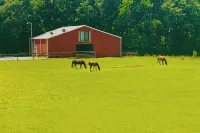 The Barn - With Covered Boat Parking - Wifi