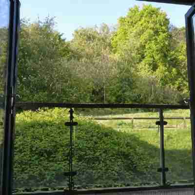 360 Serviced Accommodations - Brentwood 2 Bedroom Executive Apartment with Secure Parking Others