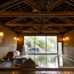 Wakamiro - Hot Springs