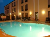Comfort Inn & Suites Greer - Greenville - Pools