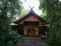 Rimba Orangutan Eco Lodge - 2-Star